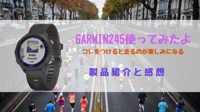 garmin245の紹介アイキャッチ