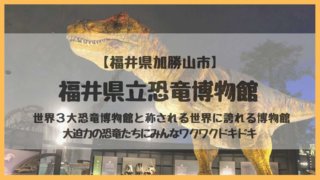 福井県立恐竜博物館アイキャッチ